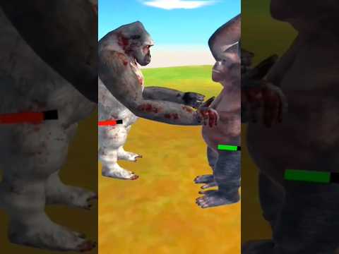 old goro VS new goro#arbs #foryou #edit #funny