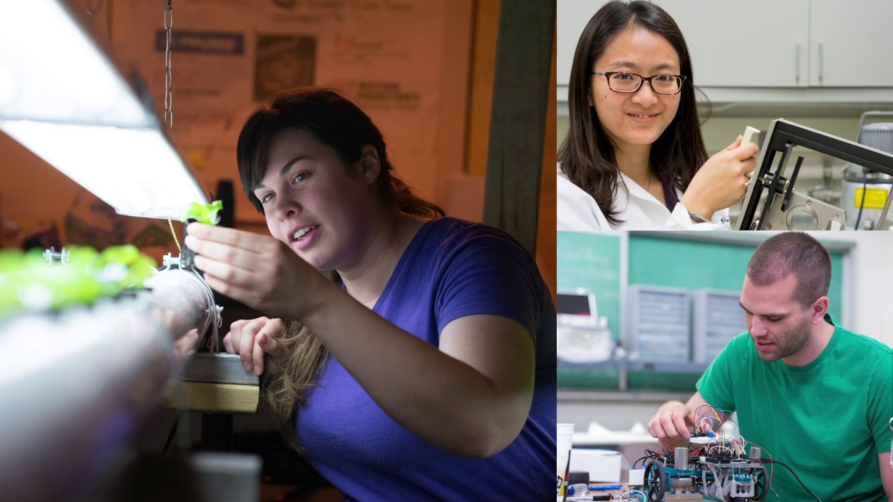 Engineering Career Exploration: Biological Engineering