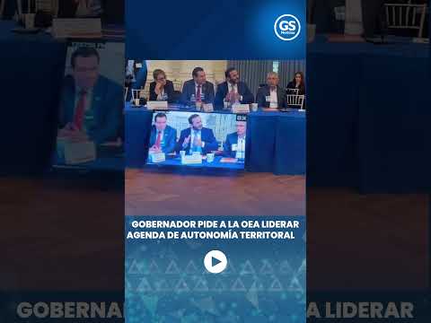 Gobernador pide a la OEA liberar agenda de autonomía territorial