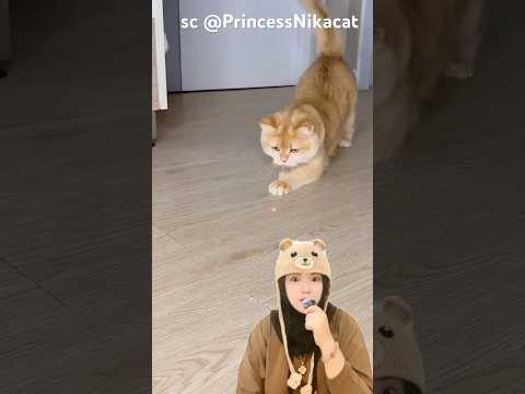 suka titik merah‼️PrincessNikacat