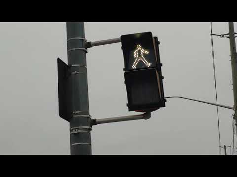*Extremely Rare* Fortran pedestrian signal with flashing count down!