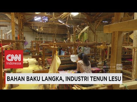 Ia membentuk bola kecil pada dahan Apa yang harus makan untuk meningkatkan anggota