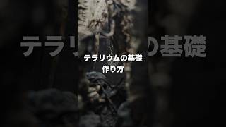 テラリウムの基礎の作り方