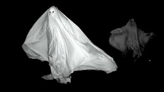 The Walls - "Stop the Lights"