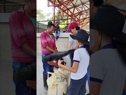 CONSTRUYENDO UN PAYA MÁS PRODUCTIVO ENTREGA DE INSUMOS AVÍCOLAS A POBLACIÓN VÍCTIMA Y DISCAPACIDAD