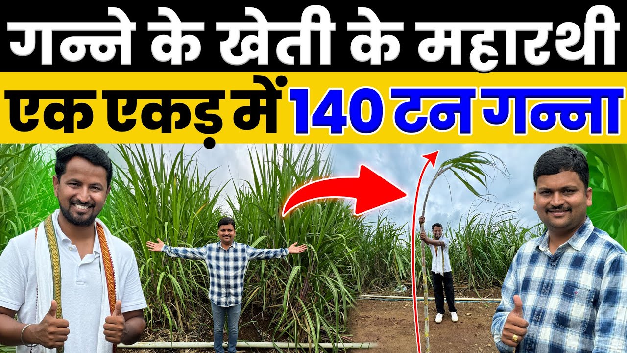 जिंदगी में ऐसा Video कभी नहीं देखा होगा😱💯100 टन गन्ने के उत्पादन का पूरा Plan🤑💯Indian Farmer