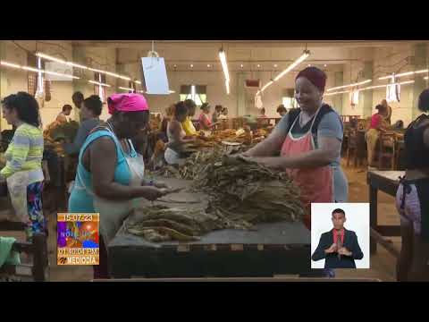 Cuba/Matanzas: Reconocen al municipio Pedro Betancourt por resultados integrales