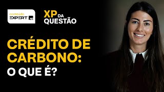 CRÉDITO DE CARBONO: O QUE É e COMO INVESTIR nesse mercado | XP da questão
