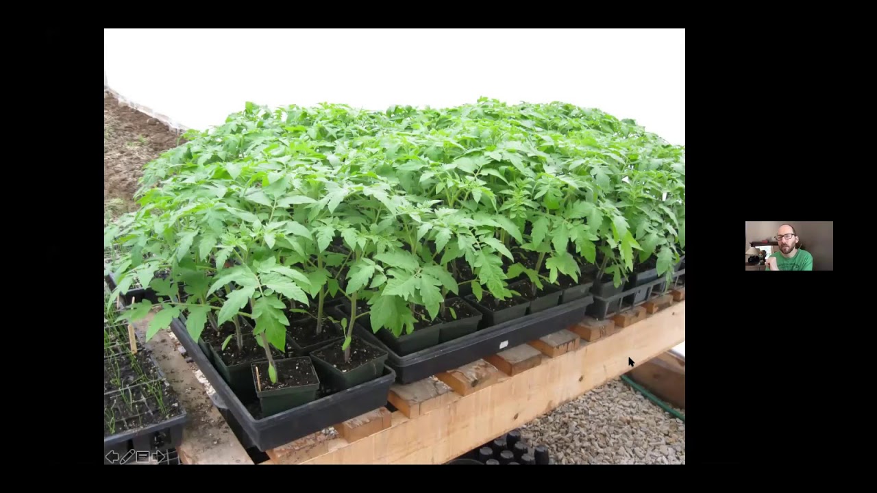 Webinar on Growing Seedlings Indoors