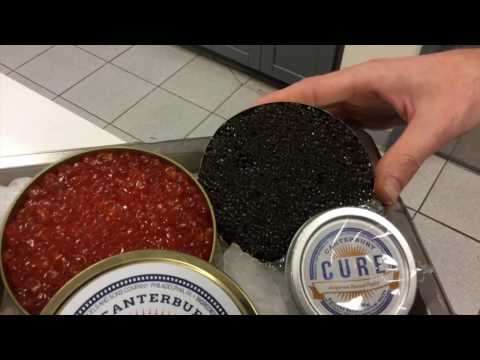 download lagu mp3 mp4 Kinds Of Caviar, download lagu Kinds Of Caviar gratis, unduh video klip Kinds Of Caviar