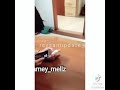 REYBONG VIDEO CALL SANDRINNA Reysan Flashback Sandrinnamichelle Reybong Reysan Jolan Djs
