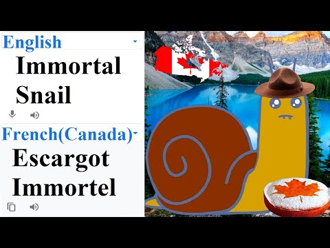 Immortal snail in different languages meme