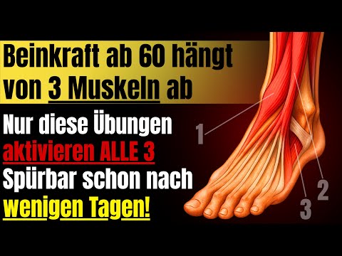 The best leg strengthening exercises for seniors