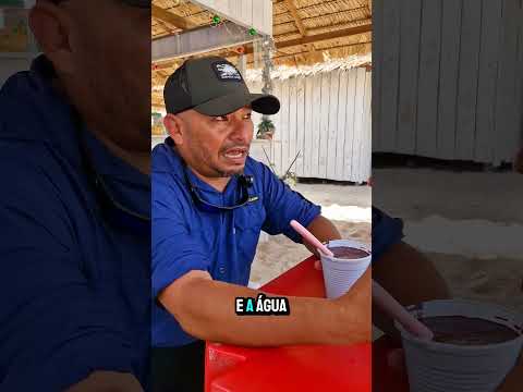 O paraíso ecológico de Mariuá, onde? Barcelos-Am 🫰🇧🇷🤝 #amazonas #foryou