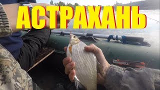 Н.. гончаров рыбная ловля