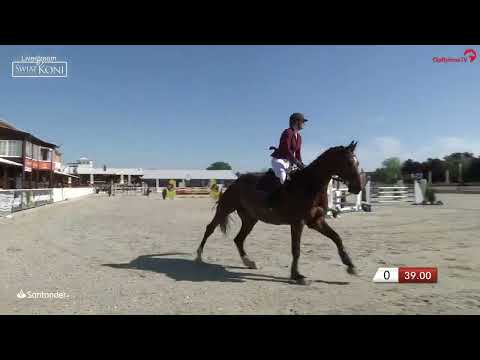 Ilona Turowska & LORDANZ - CSI1* Olsza Small Tour 120 cm