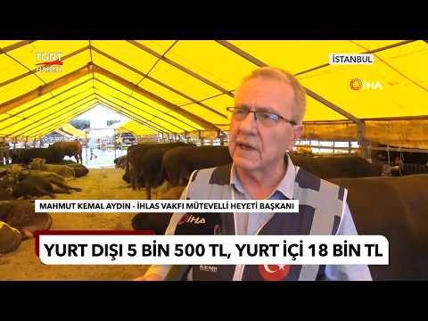 İhlas Vakfı Kurbanda 2 Kıta 5 Ülkede!