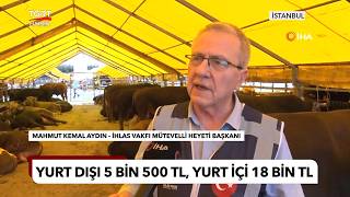 İhlas Vakfı Kurbanda 2 Kıta 5 Ülkede!