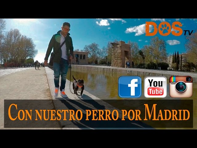 Vídeo relacionado con España con perro: 200 planes con tu mejor amigo (Varios)