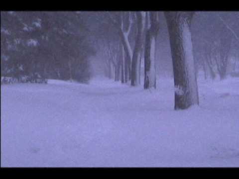 Eight Armed Killer - "Hell"