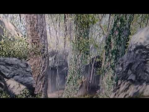 Qoitoro Tarinoiden Aito Sankari Sotilas Kuolematon Arvokkuus