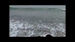 preview picture of video 'ein Meer- ein Strand - ein Mensch und 2 Hunde'