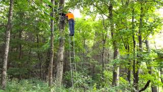 Standing a 2 person tree stand by myself