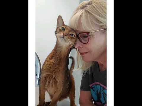 Crystal the Pet Nanny. LLC video.