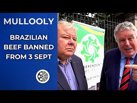Ciarán Mullooly: Brazilian beef banned in Ireland from Sept 3