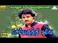 செம்பருத்தி பூவே HD Video Song நானும் ஒரு தொழ�