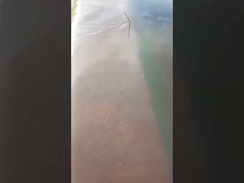 Açude Sangrando em Riacho de Santana RN