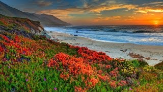 Allen &amp; Envy feat. Julie Harrington - Always (Maria Healy Remix)