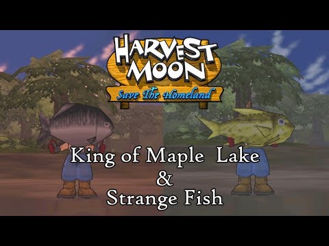 Harvest Moon: Save the Homeland | Catching King of Maple Lake and Strange Fish