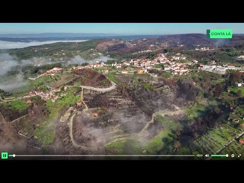 Conta L&aacute; - Arganil