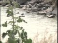 Officials: Do not swim, eat fish from Donna lake