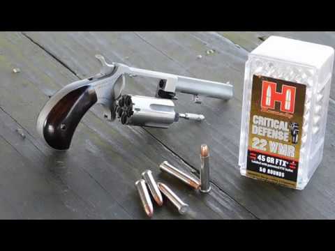 Hornady Critical Defense .22 WMR 45 grain FTX Gel Penetration Test