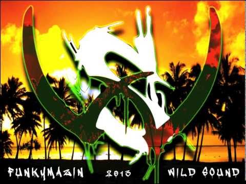 WILD SOUND - Funkymazin