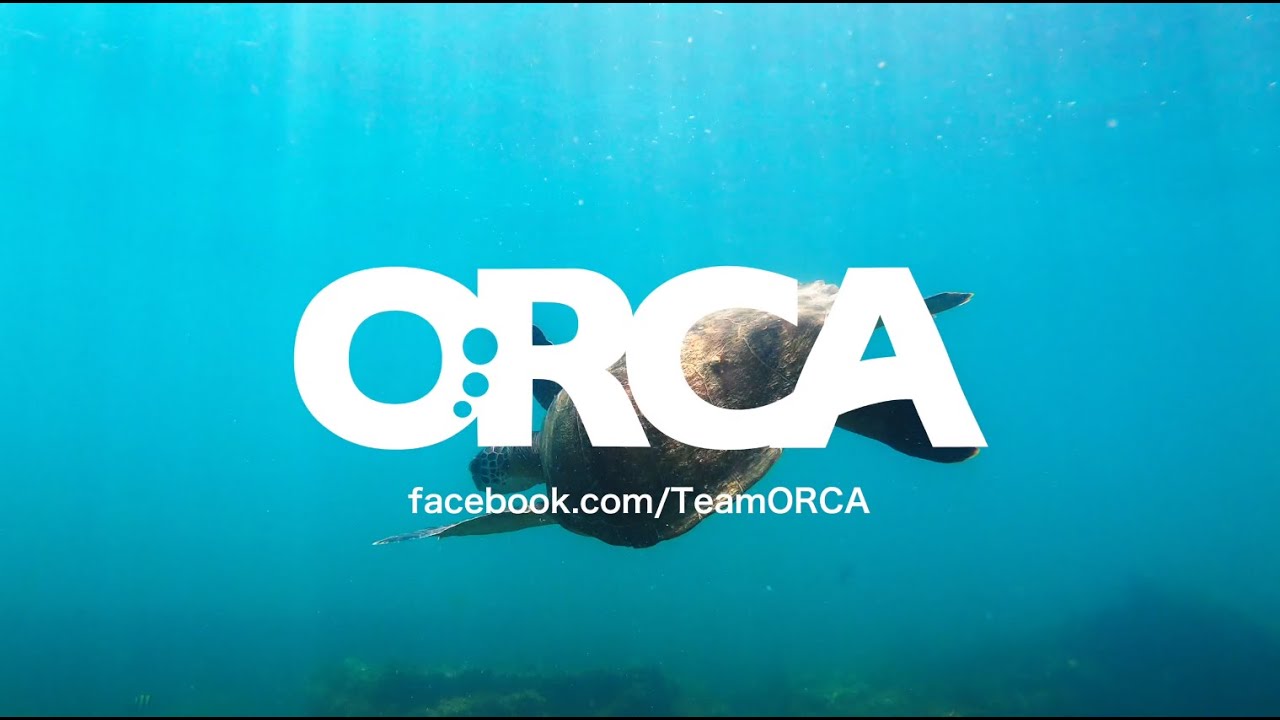The ORCA Minute: Let's talk about ORCA