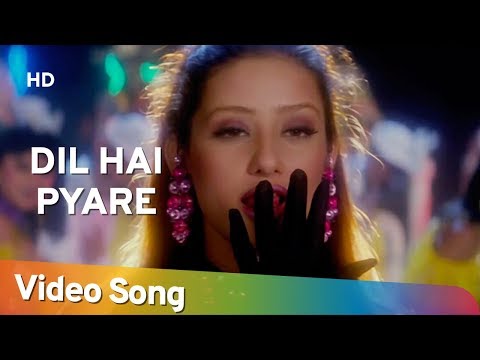 Dil Hai Pyare — watch video
