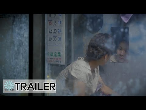 갈매기(Gull) 메인예고편