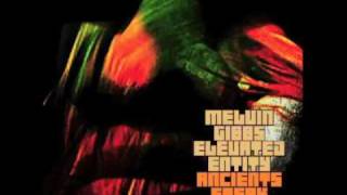 Melvin Gibbs' Elevated Entity- Canto Por Odudua  feat. Pedrito Martinez and Pete Cosey