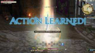 ファイナルファンタジーXIV 青魔道士Lv1で針千本をラーニング