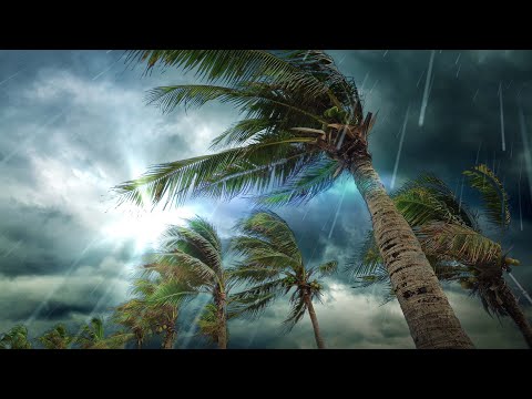 Tropical Storm Rain Sounds | Sleep, Study or Relax with Rainstorm White Noise | 10 Hours Video
