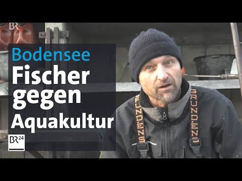 Bodensee: Streit um Fischzucht in Netzgehegen | Abendschau | BR24
