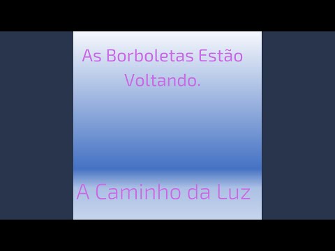 As Borboletas Estão Voltando - A Caminho da Luz