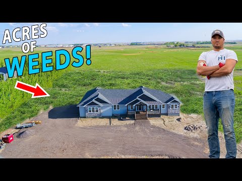 My OVERGROWN Yard Is Out Of CONTROL! | Yard Geek Episode 4