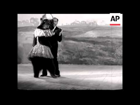 DANCING BEAR - SOUND