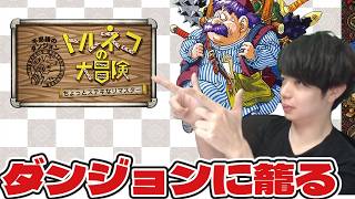 息抜きにダンジョンに引きこもる　トルネコの大冒険　#switch２　#顔出し