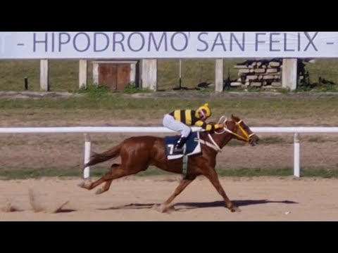 CONTROLADA - 5ta Carrera Hipódromo Paysandu - 08/05/2022