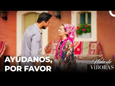 El Estado Útil De Ejder - Nido De Víboras